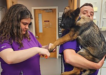 Clinic photo/Office of Dr. EAST HARTFORD ANIMAL CLINIC