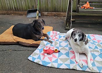 Clinic photo/Office of Dr. EAST ORANGE ANIMAL HOSPITAL