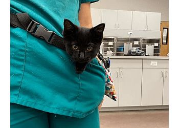 Clinic photo/Office of Dr. EAST ORLANDO ANIMAL HOSPITAL