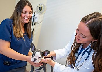 Clinic photo/Office of Dr. EAST SPRINGFIELD VETERINARY HOSPITAL