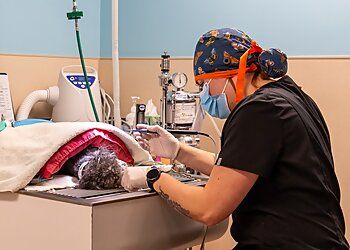 Clinic photo/Office of Dr. EAST SPRINGS ANIMAL HOSPITAL