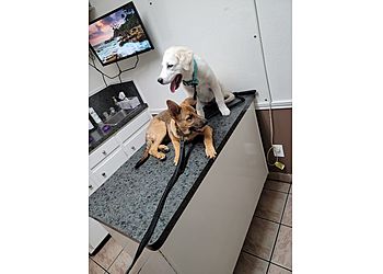 Clinic photo/Office of Dr. EL CENTRO PET MEDICAL CENTER