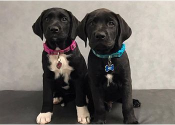 Clinic photo/Office of Dr. ELDORADO ANIMAL HOSPITAL