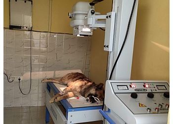 Clinic photo/Office of Dr. EVA VETS