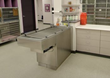 Clinic photo/Office of Dr. FAMILY VETCARE