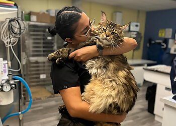 Clinic photo/Office of Dr. FULLERTON REGIONAL VETERINARY HOSPITAL
