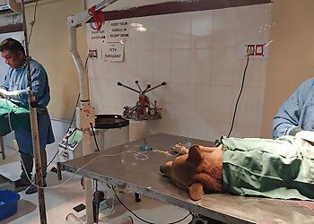 Clinic photo/Office of Dr. GOVT. VETERINARY HOSPITAL