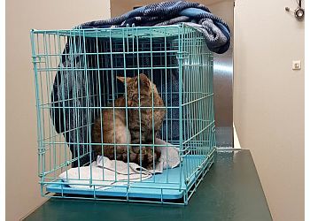 Clinic photo/Office of Dr. GULFGATE ANIMAL HOSPITAL