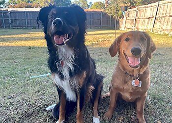Clinic photo/Office of Dr. GULLY ANIMAL HOSPITAL