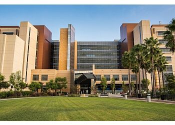 Clinic photo/Office of Dr. HAMID DJALILIAN