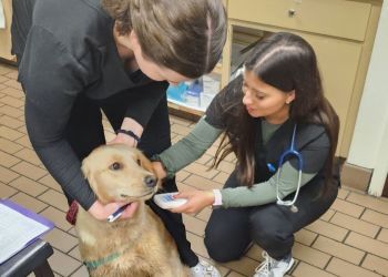 Clinic photo/Office of Dr. HARMONY VET CARE