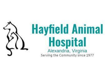 Clinic photo/Office of Dr. HAYFIELD ANIMAL HOSPITAL