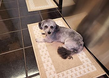 Clinic photo/Office of Dr. HIGHLAND ANIMAL HOSPITAL