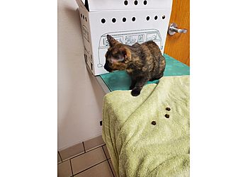 Clinic photo/Office of Dr. HILLCREST ANIMAL HOSPITAL