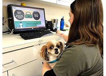 Clinic photo/Office of Dr. HOPE SPRINGS VETERINARY GREAT BRIDGE
