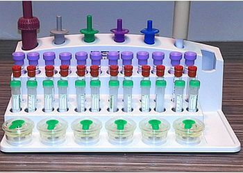 Clinic photo/Office of Dr. HOPITAL VÉTÉRINAIRE VIMONT