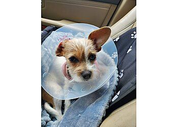 Clinic photo/Office of Dr. HORIZON ANIMAL HOSPITAL