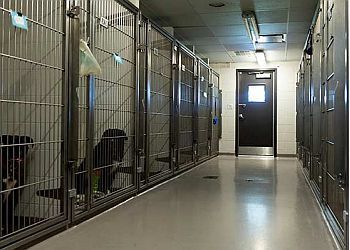 Clinic photo/Office of Dr. HÔPITAL VÉTÉRINAIRE DU BOISÉ