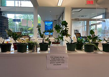 Clinic photo/Office of Dr. HÔPITAL VÉTÉRINAIRE PIERRE-BOUCHER INC.