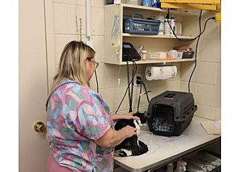 Clinic photo/Office of Dr. INDEPENDENCE ANIMAL HOSPITAL