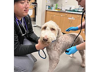 Clinic photo/Office of Dr. IRVINE VALLEY VETERINARY HOSPITAL