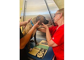 Clinic photo/Office of Dr. JACKSON ANIMAL CLINIC