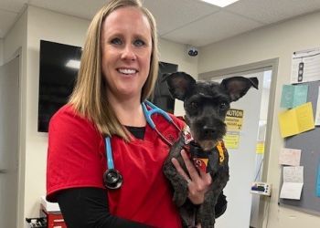 Clinic photo/Office of Dr. JACKSON COUNTY ANIMAL HOSPITAL