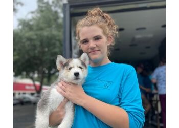 Clinic photo/Office of Dr. JACKSONVILLE COMMUNITY PET CLINIC