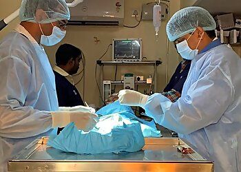 Clinic photo/Office of Dr. JEEVA PET HOSPITAL