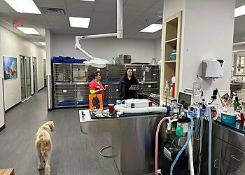 Clinic photo/Office of Dr. JOSEY RANCH PET HOSPITAL