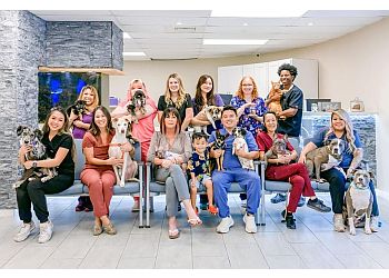 Clinic photo/Office of Dr. KALIHI PET CLINIC