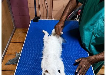 Clinic photo/Office of Dr. KANFE GLOBUZ PET POLYCLINICS