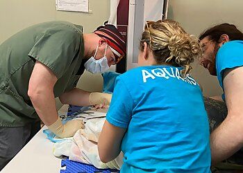 Clinic photo/Office of Dr. KANSAS CITY VETERINARY CARE