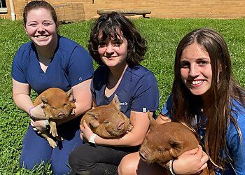 Clinic photo/Office of Dr. KARNS ANIMAL CLINIC