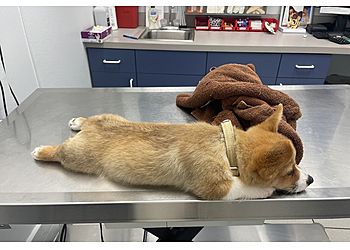 Clinic photo/Office of Dr. KIND ANIMAL HOSPITAL