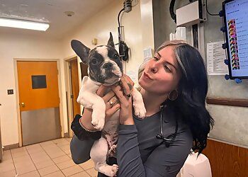 Clinic photo/Office of Dr. KLAICH ANIMAL HOSPITAL