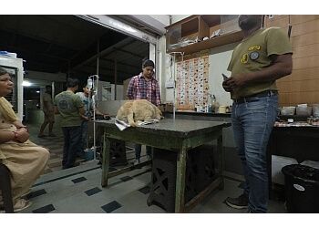 Clinic photo/Office of Dr. KOTA DOG PET CLINIC