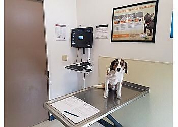 Clinic photo/Office of Dr. LAKE MERIDIAN ANIMAL HOSPITAL