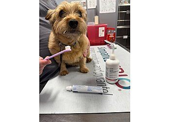 Clinic photo/Office of Dr. LAKESIDE ANIMAL HOSPITAL