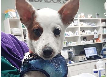 Clinic photo/Office of Dr. LANCASTER PET CLINIC