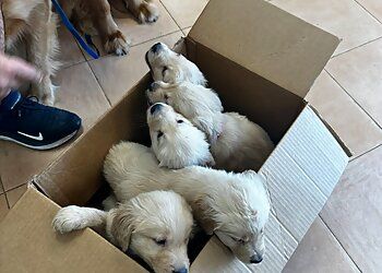 Clinic photo/Office of Dr. LAREDO ANIMAL CLINIC