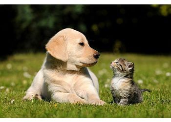 Clinic photo/Office of Dr. LESLIE STREET ANIMAL HOSPITAL