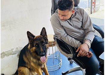 Clinic photo/Office of Dr. LIFELINE PET CARE CLINIC