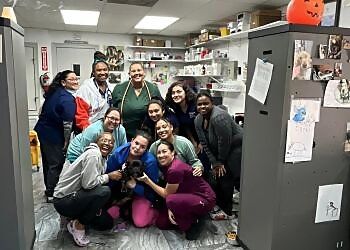 Clinic photo/Office of Dr. LOW COST ANIMAL MEDICAL CENTER