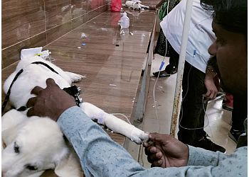 Clinic photo/Office of Dr. MGM VETERINARY HOSPITAL