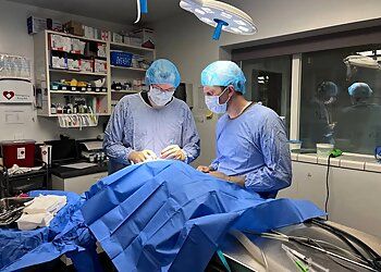 Clinic photo/Office of Dr. MIDVALLEY ANIMAL CLINIC