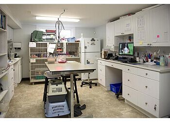 Clinic photo/Office of Dr. MILLENNIUM CITY VETERINARY HOSPITAL