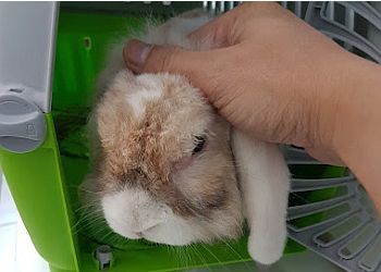 Clinic photo/Office of Dr. MONSTER PET VET