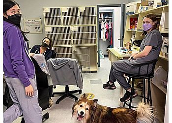 Clinic photo/Office of Dr. MOUNT JOY ANIMAL CLINIC