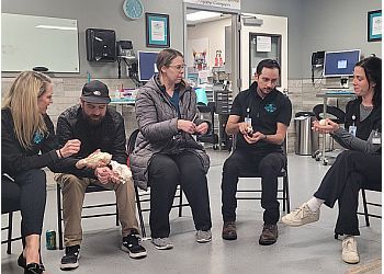 Clinic photo/Office of Dr. MOUNTAIN VIEW ANIMAL HOSPITAL &amp; HOLISTIC PET CARE